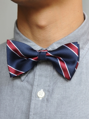 Bow Tie (Blue/Red Strap)